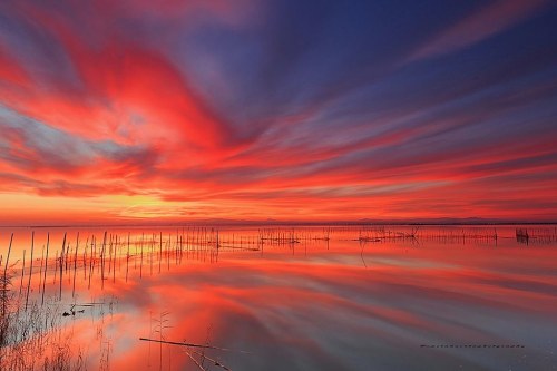 La Albufera Natural Park. Valencia. Spain by Pepelahuerta+