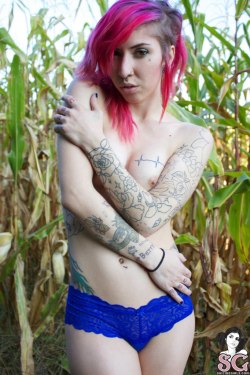 sglovexxx:SG Hopeful Novakobra in Resplendent Rosado