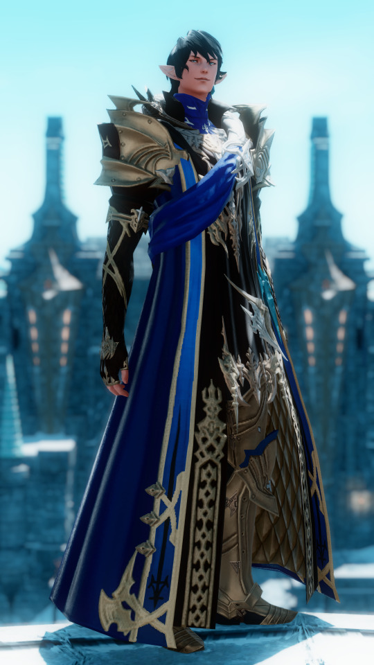 Lord Commander, Ser Aymeric De Borel.