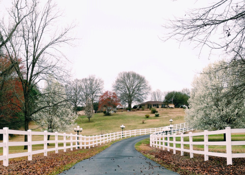 unusualencounter:  Welcome home.