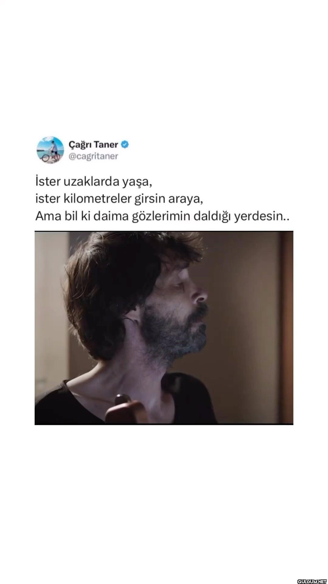 Çağrı Taner on December...