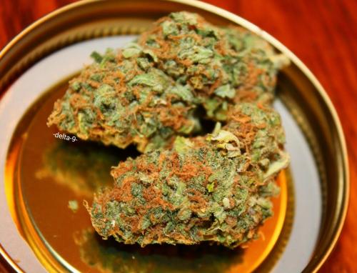 -delta-9-:  Fire As Fuck🔥👌🔥