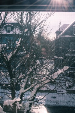 ivvvoo:  First real snow | follow on Tumblr