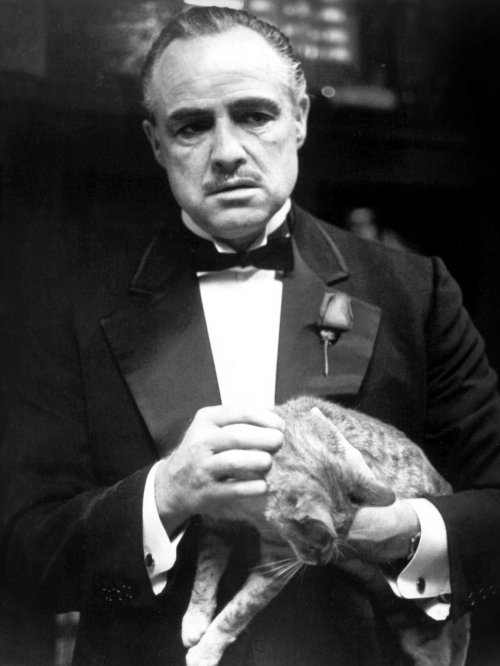 don vito corleone