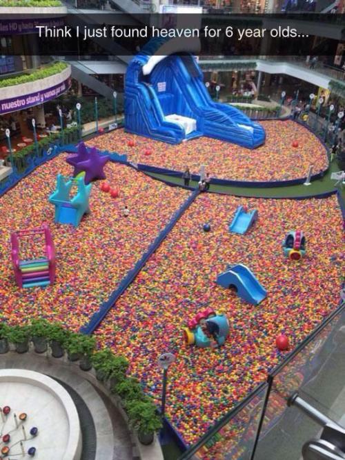 zorrodaddy:  missmollypants:  What do you mean “6 year olds”? 😐  Holy …. Sh—!