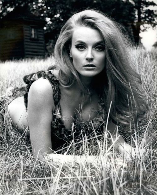 Sad news, shortly after posting my recent photo of Celeste Yarnall came the news of her death follow