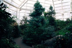 oecos:Warm temperate pavilion, Brooklyn Botanic