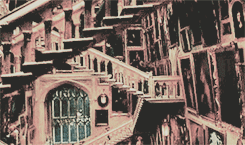 lydamartin:  hp marauders era:   “The truth is, everyone is going to hurt you.
