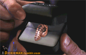thetasteofhercum:This Valentines Day, give her the gift she’ll cherish for a lifetime