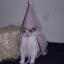 deadlylittlerat