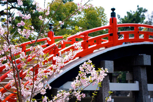 Bridge and Sakura on Flickr.