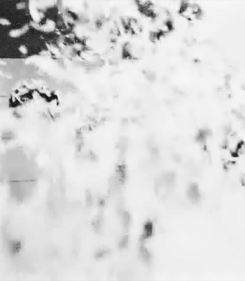 nuest-asia:  Aron on Kye Beom Joo’s teaser ♥