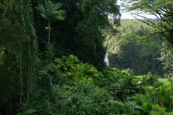 helladesu:  Akaka Falls