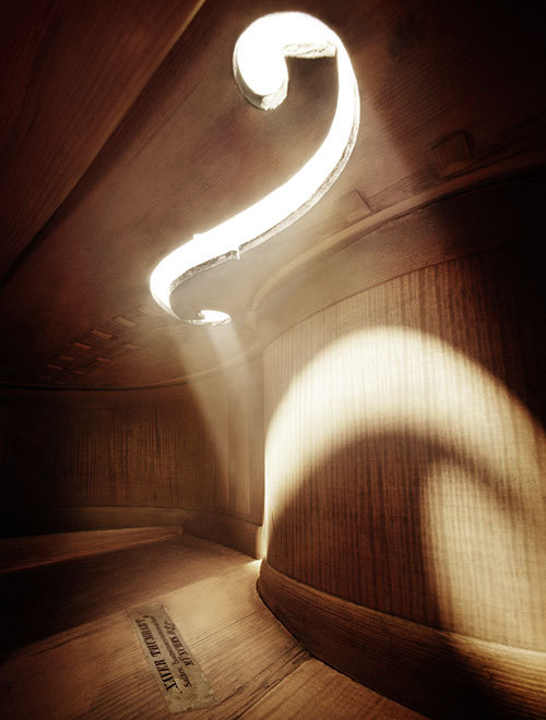 littlelimpstiff14u2:  Inside the Music, Stunning Macro Photography by  Andreas Mierswa