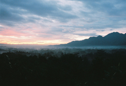 Blue velvet - Kodak Portra 800, Minolta Dynax 5000i - Yogyakarta, Indonesia - February 2018