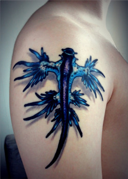 fuckyeahtattoos:  A tattoo of Glaucus atlanticus,