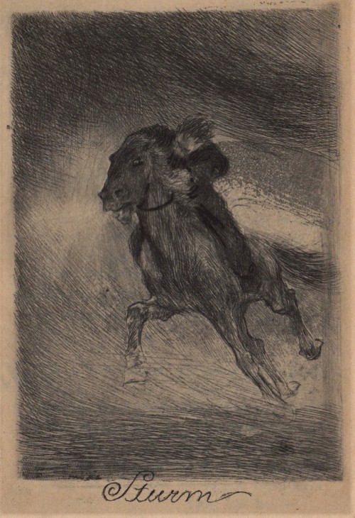 Erhard Amadeus Dier, Illustrations for Trug und Traum, 1916