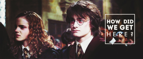 harry x hermione