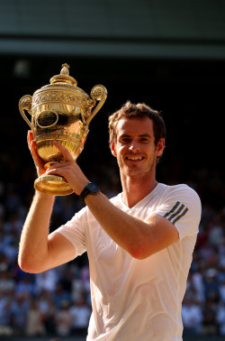 wrappedupinbooks67:  Andy Murray, 2013 Wimbledon