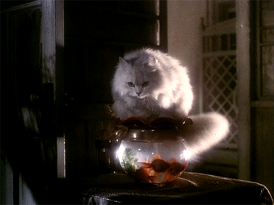 myellenficent:  Hausu (1977) Dir. Nobuhiko Obayashi