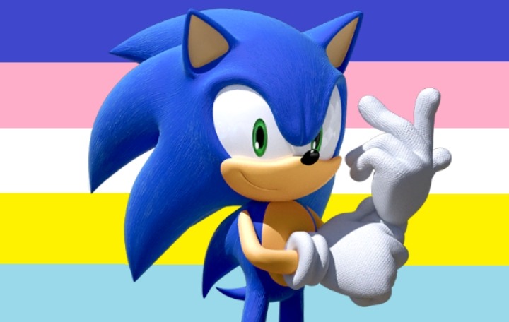 2. Sonic the Hedgehog: Gender and Pronouns - wide 4