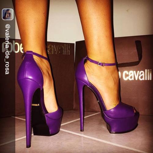 Roberto Cavalli #heels repost via @valeria_de_rosa #purpleheels #tacchialti #sexyheels #heelsmodel #
