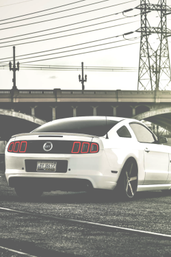 jrxdn:  Mustang GT 5.0 | JRXDN