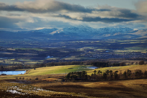 Had a day trip back to my home town - Bridge of Allan. Did the de rigeur local walk up Dumyat. This 