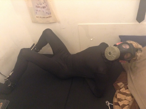 pupdonnie:  In a morphsuit with legs spread wide and hands securely shackled, pupdonnie’s eyes grow wide in horny anticipation from behind the restrictive gas mask. 