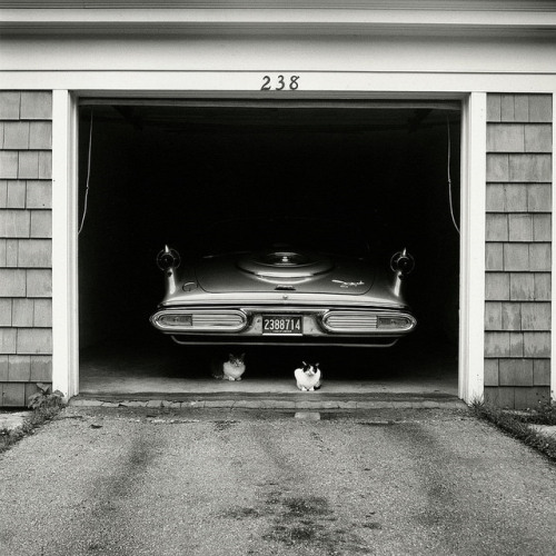 atomic-flash:Suburban Chicago, 1957 - Photo by Vivian Maier