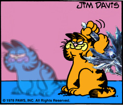 uninsides:  daily-garfield: 08/19/78 (follow our twitter) this is a top 10 post on this site 
