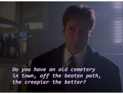 horrorandhalloween:  Fox Mulder is my spirit