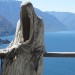 letyourfantasiesunwind1:These intriguing sculptures are called &ldquo;Ghosts&rdquo;