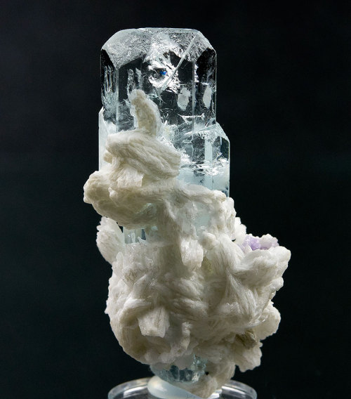 Beryl var. Aquamarine with Apatite and Cleavelandite Nyet-Bruk, Braldu Valley, Skardu District, Balt