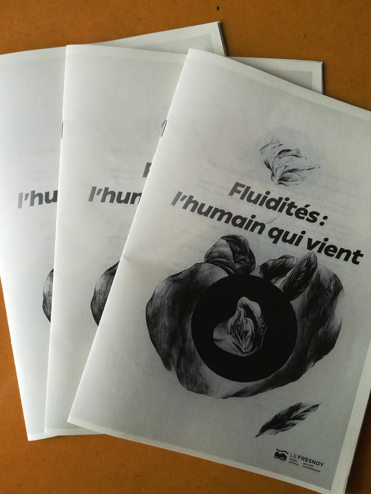 A chaque exposition, un artiste est invité à illustrer un livret de visite axé jeune public (ici à partir de 9-10 ans). Pour le livret de l’exposition Fluidités : l’humain qui vient (du 8 février au 29 avril 2020), les dessins ont été réalisés par...