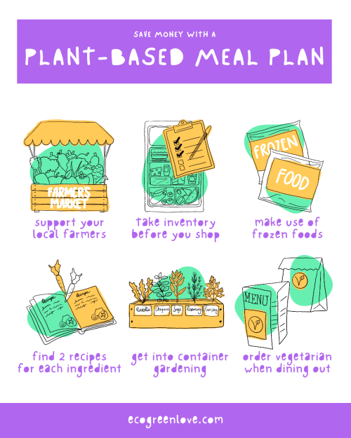 How to Save Money with a Plant Based Meal Plan→ http://ecogreenlove.com/?p=13432Getting your grocery