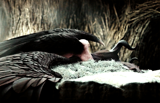 04e8c73085dda281b9d267b94f2340366af7872d.gif