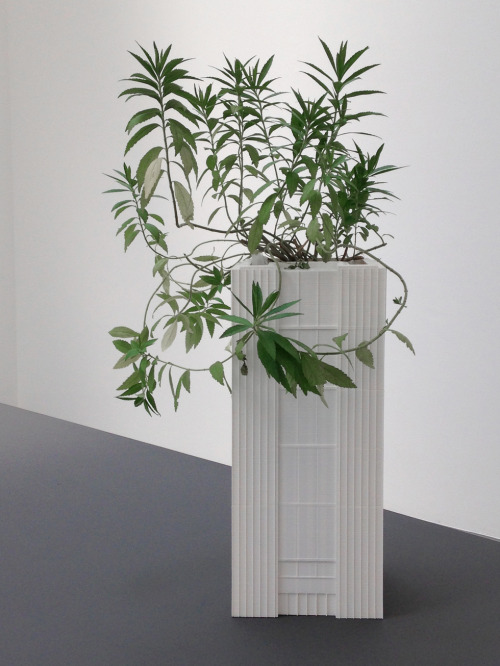 SUPERFLEX, Investment Bank Flowerpots, 2018 Investment Bank Flowerpots are models of the corporate h