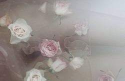 mikimomokarin:  Pale flowers on We Heart It. 