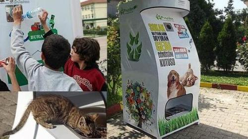 Animales Sin Hogar
