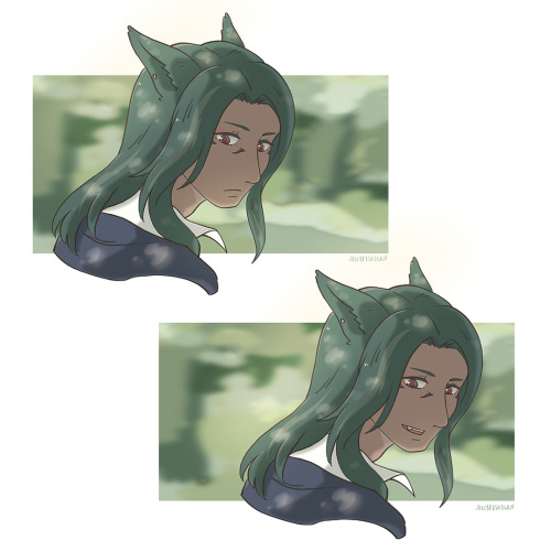 jellyfishflan