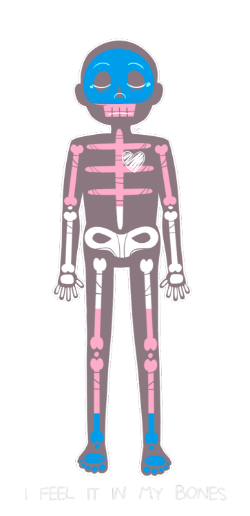 unscrupulouswalnut:  You Can Feel It In Your Bones. July 27th, 2015. Digital Painting.It’s done! I’ve wanted to do something like this for a while now so here’s some transparent pride skeletons. If I get requests I might add more flags but for now