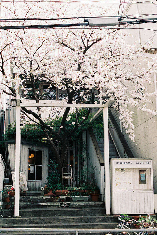 yudoku:  太陽咖啡 by さぁ～dato on Flickr. 