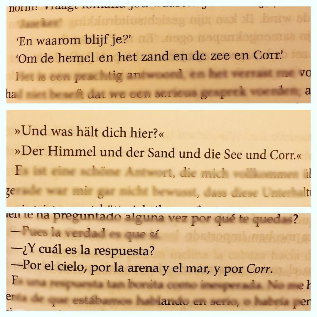 “And why do you?”
“The sky and the sand and the sea and Corr.”
.
.
.
#tsr #thescorpioraces #maggiestiefvater #seankendrick #puckconnolly #thisby #corr #bookworm #booknerd #favoritequotes #dodenrit #lascarrerasdeescorpio #rotwiedasmeer #bookcollector