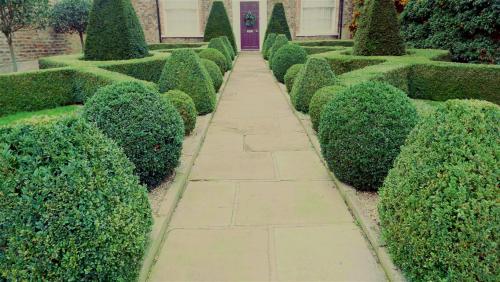 A York Box Garden.