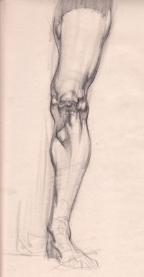 kuinexs:  Figure Drawing Gallery | Figure