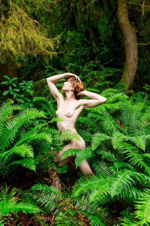 dianajeano:  5 am in the Rain Forest  NW Photography Diana Jean Oliphant 