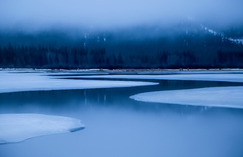 90377:  Misty vermillion lakes by bob    adult photos