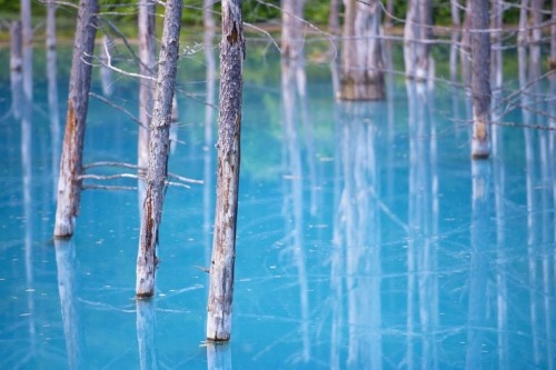 XXX our-strange-yet-beautiful-planet:  The Blue photo