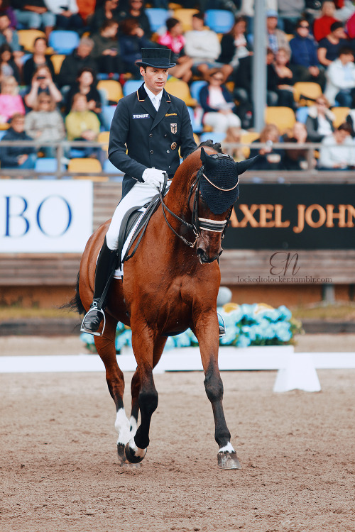 dressage competition